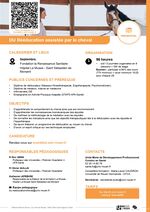 Diplôme Universitaire (DU) « Rééducation assistée par le cheval »